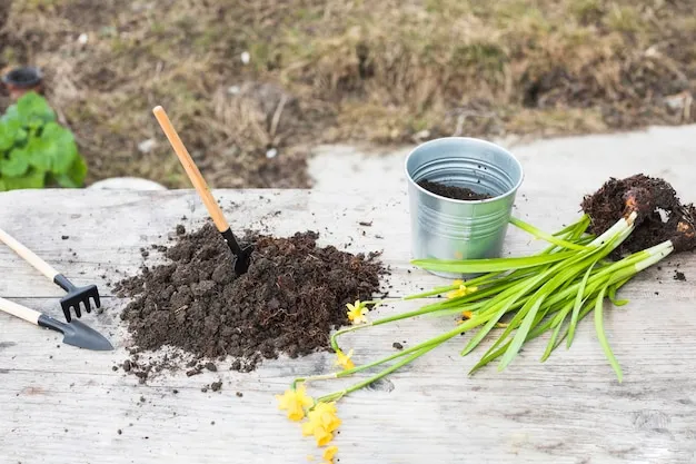 Usos de la ceniza en el huerto y el jardín, beneficios naturales