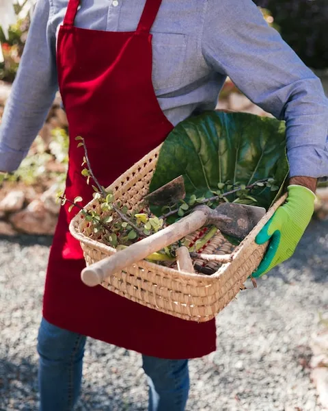 ventajas de la agricultura ecológica y el uso de fertilizantes naturales