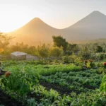 Ventajas de la agricultura ecológica y el uso de fertilizantes naturales