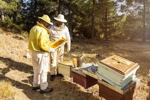 Cómo cuidar las colmenas durante el invierno para mantener la salud de las abejas