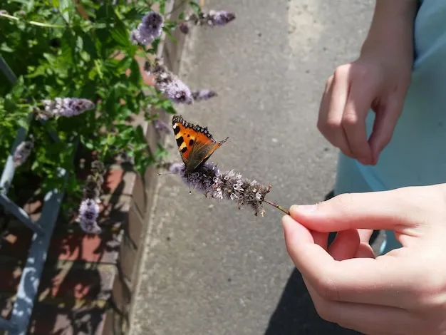 ¿son buenas las mariposas para el huerto? beneficios de estas aliadas naturales